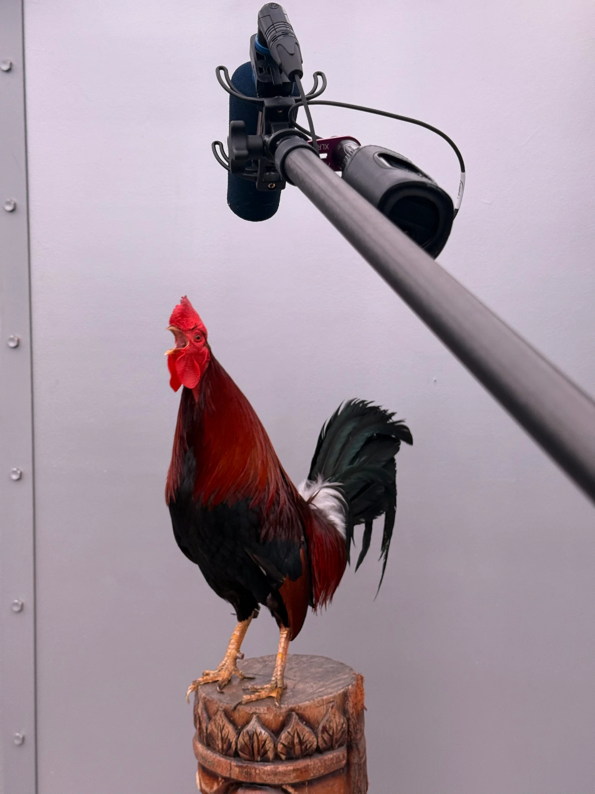 Behind-the-scenes on-set sound recording in Los Angeles